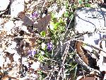 Photo DSC01675.JPG